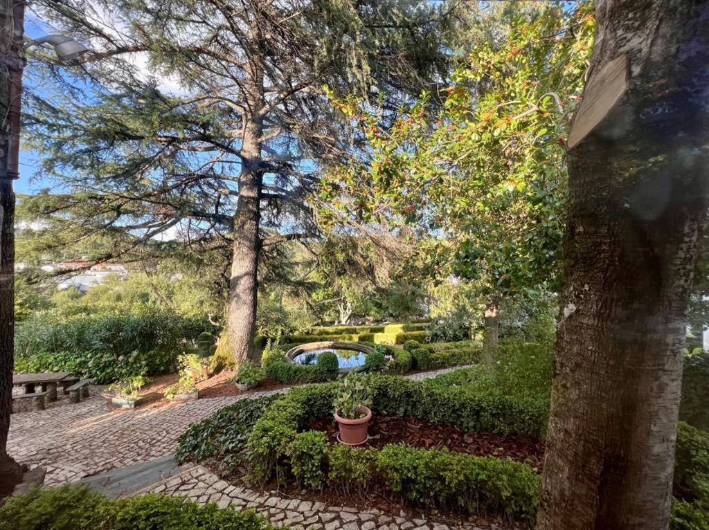 Casa Fundeira - Quinta Dos Esconhais Castanheira de Pera Kültér fotó